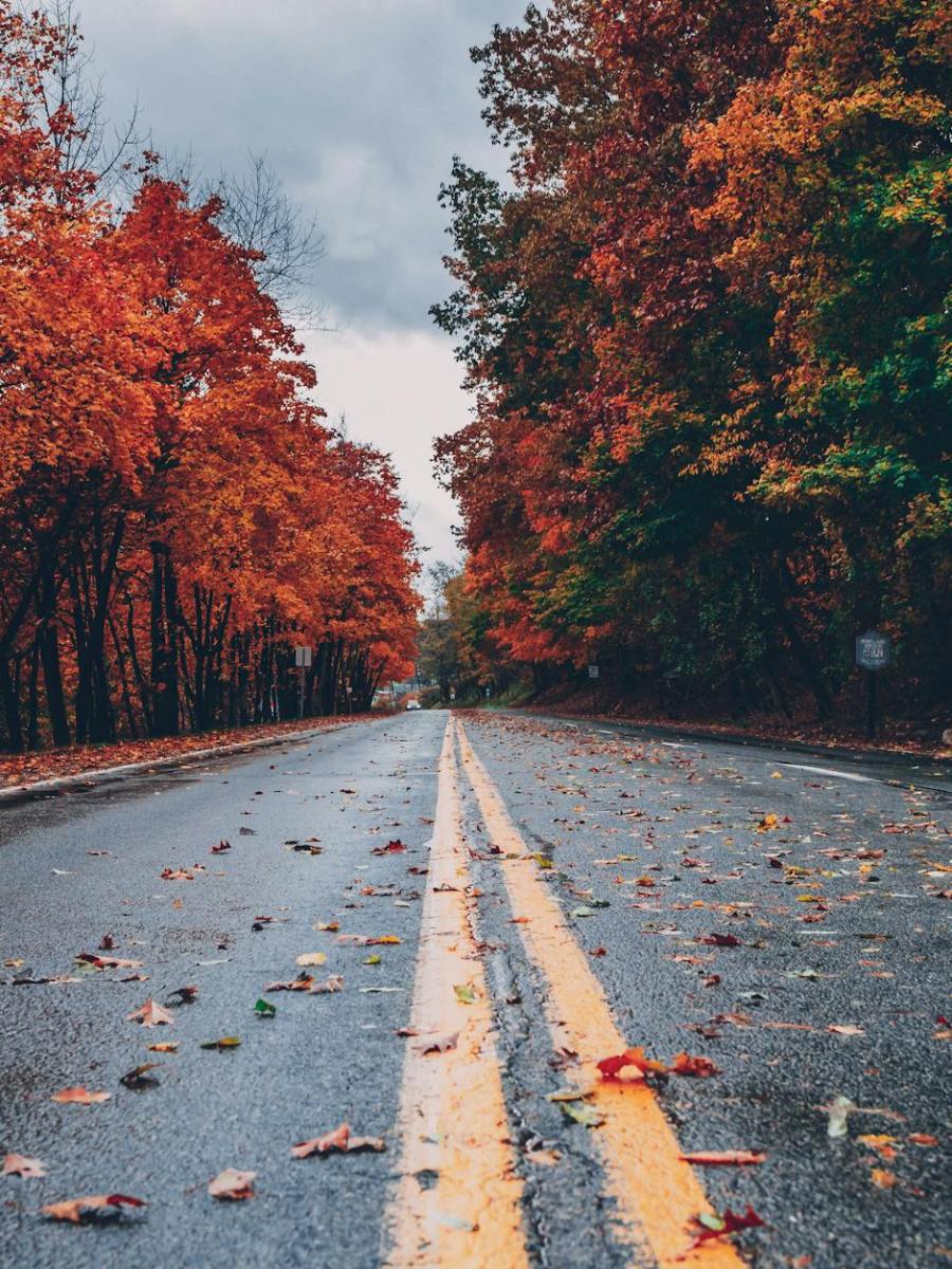 How to Respond to Sticky “Shoulds”